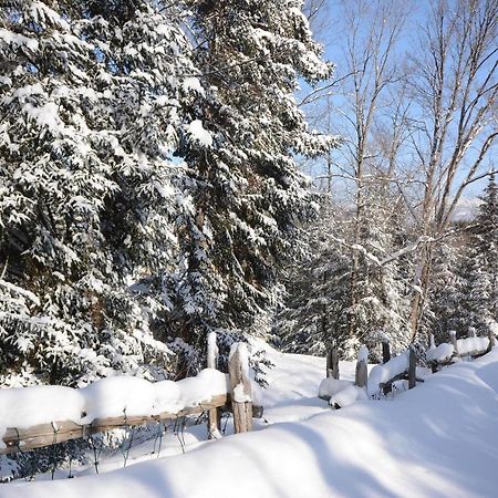 Jardin Du Village By Chez Tremblant Mont-Tremblant Exterior photo